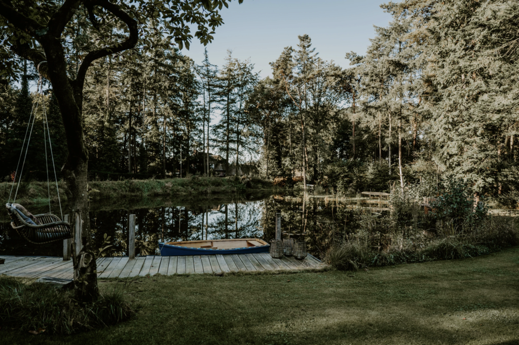 Frankenven B&B Droom in het bos